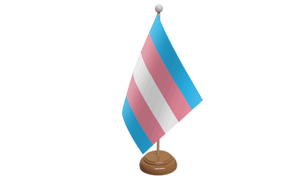 Transgender (New) Small Flag with Wooden Stands